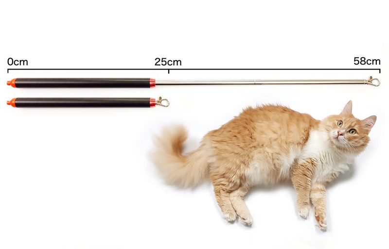 SCHLITZOHR Katzenangel Katzenangel Arnold Katzenspielzeug mit Federn und Bändern »Katzenangel stabil« Spielangel Federstab ausziehbar Katzen Stange Katzenstab Federanhänger - fehlinger-versand
