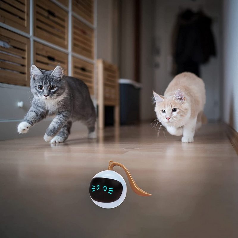 DOPWii Tierball Interaktives Katzenspielzeug BallAutomatisch Rollender Ball mit LED - fehlinger-versand