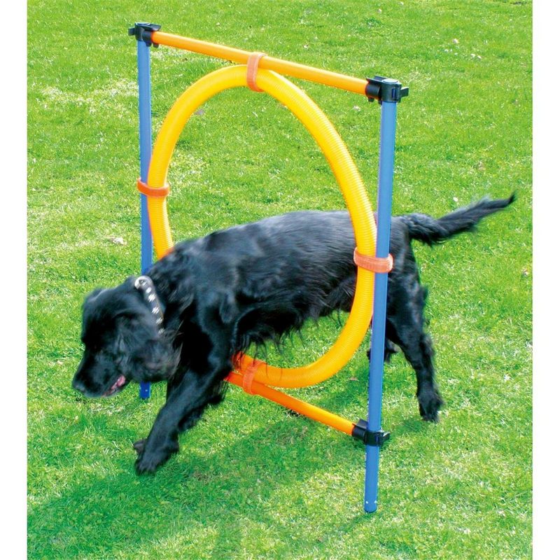 PETGARD Tier-Beschäftigungsspielzeug Agility Sprungring Hunde Trainingshürde - Agility jumping ring - 117x10x10cm - fehlinger-versand