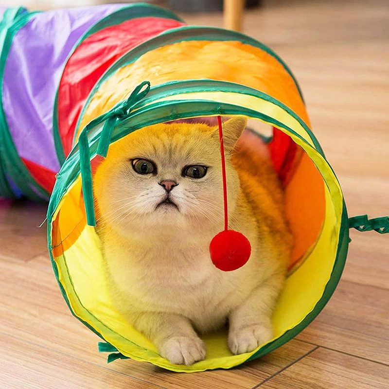 Rosnek Tier-Beschäftigungsspielzeug 21 STÜCKE Regenbogen Faltbar Tunnel Katzentunnel Katze Spielzeug Katzenspielzeug Set - fehlinger-versand