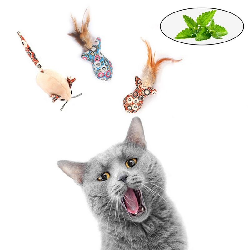 HomeBella Tier-Beschäftigungsspielzeug Katzenspielzeug - K-03 3er Set mit Katzenminze Kauspielzeug Katzenspielzeug für Katzen Kitten Haustier zum Spielen Beißen Kauen - fehlinger-versand